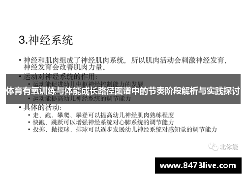 体育有氧训练与体能成长路径图谱中的节奏阶段解析与实践探讨